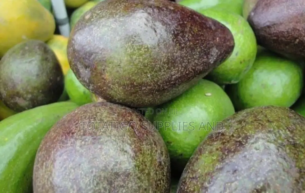 Nice Yummy Ovacado