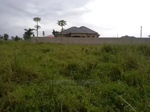 Kira Nice Two Plots of Land on Sell