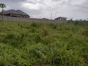 Kira Pretty Two Plots on Sell