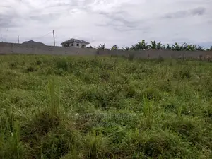 Two Plots at Kira on Sale.