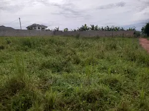 Kira Majestic Two Plots on Sell