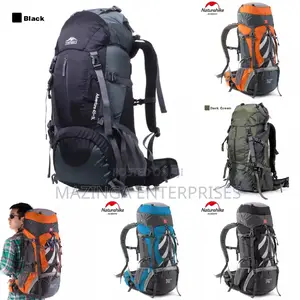 65litres Backpack Bags (Good Gor Sports, Camping,Tours)