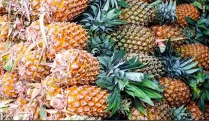 Ugandan Pineaples