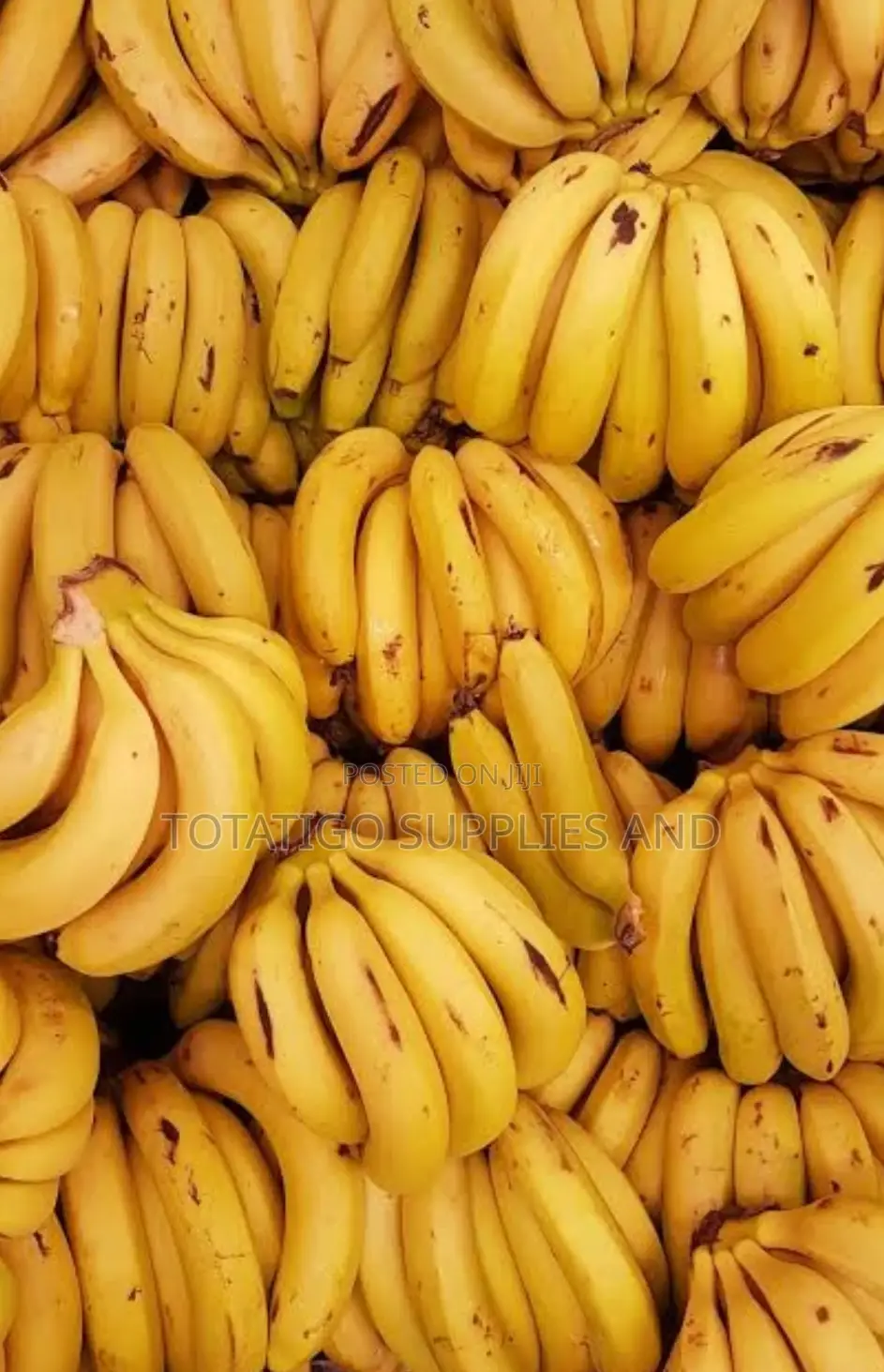 Banana - Bogoya-1 Cluster