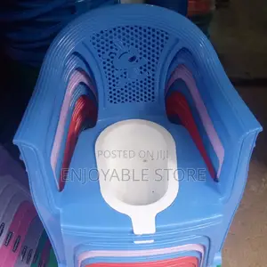 Potty Chair