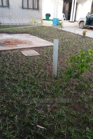 Paspalum Grass for Sale Call