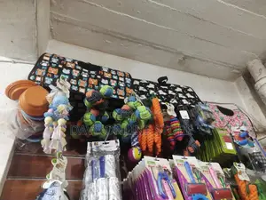 Pet Toys and Accessories