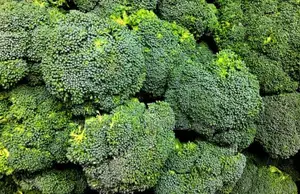 Broccoli -1 Pc