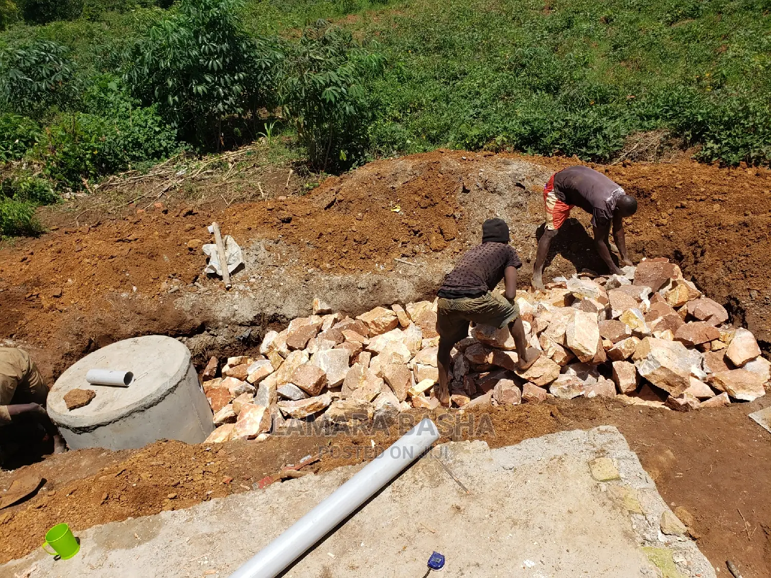 Bio-digester Septic Tanks