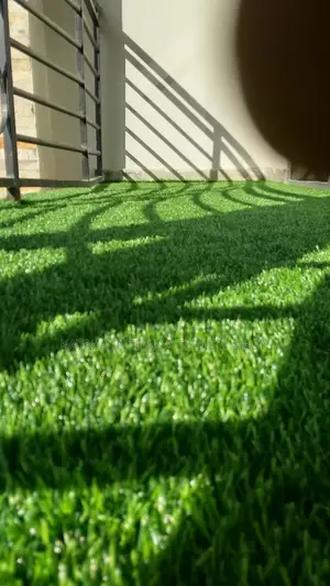 Grass Carpet/Grass Carpet/Grass Carpet