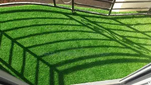 Grass Carpet/Grass Carpet/Grass Carpet