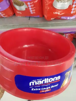 Extra Large Bowl for Dogs