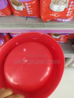 Extra Large Bowl for Dogs