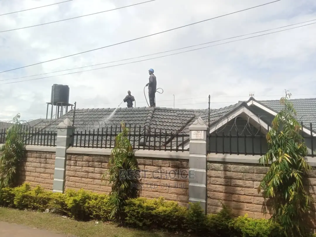 We Provide Cleaning Services for Roofs,Paves,Sofas, Terrazzo