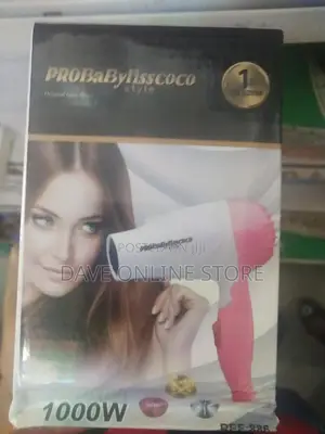 Professional Hair Dryer