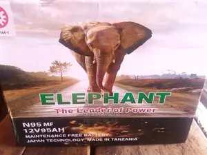 N95 Elephant Batteries.