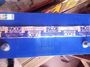 N100 Incore Batteries.