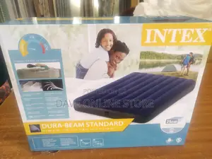 Intex Inflatable Mattress