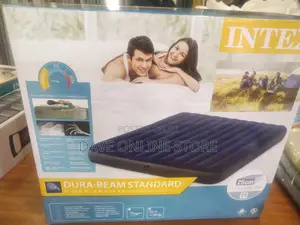 Intex Camping Air Mattress