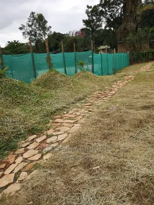 Bulliding Net