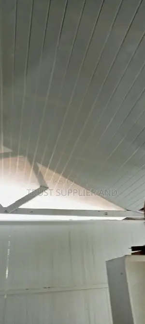 PVC Ceiling White Type