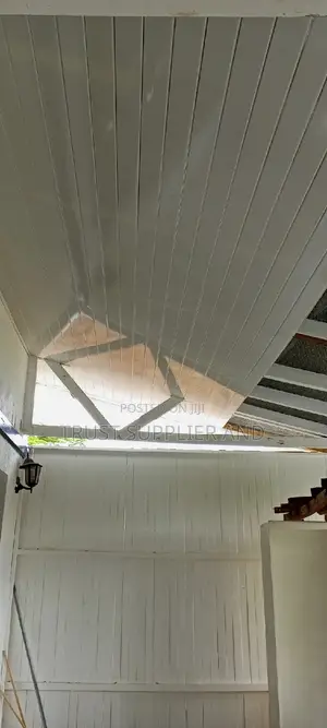 PVC Ceiling White Type