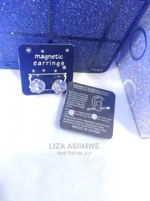 Men's Ice Magnetic Earrings
