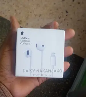 Apple Headsets Original