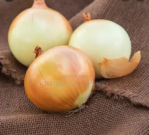 The White Yellow Onions