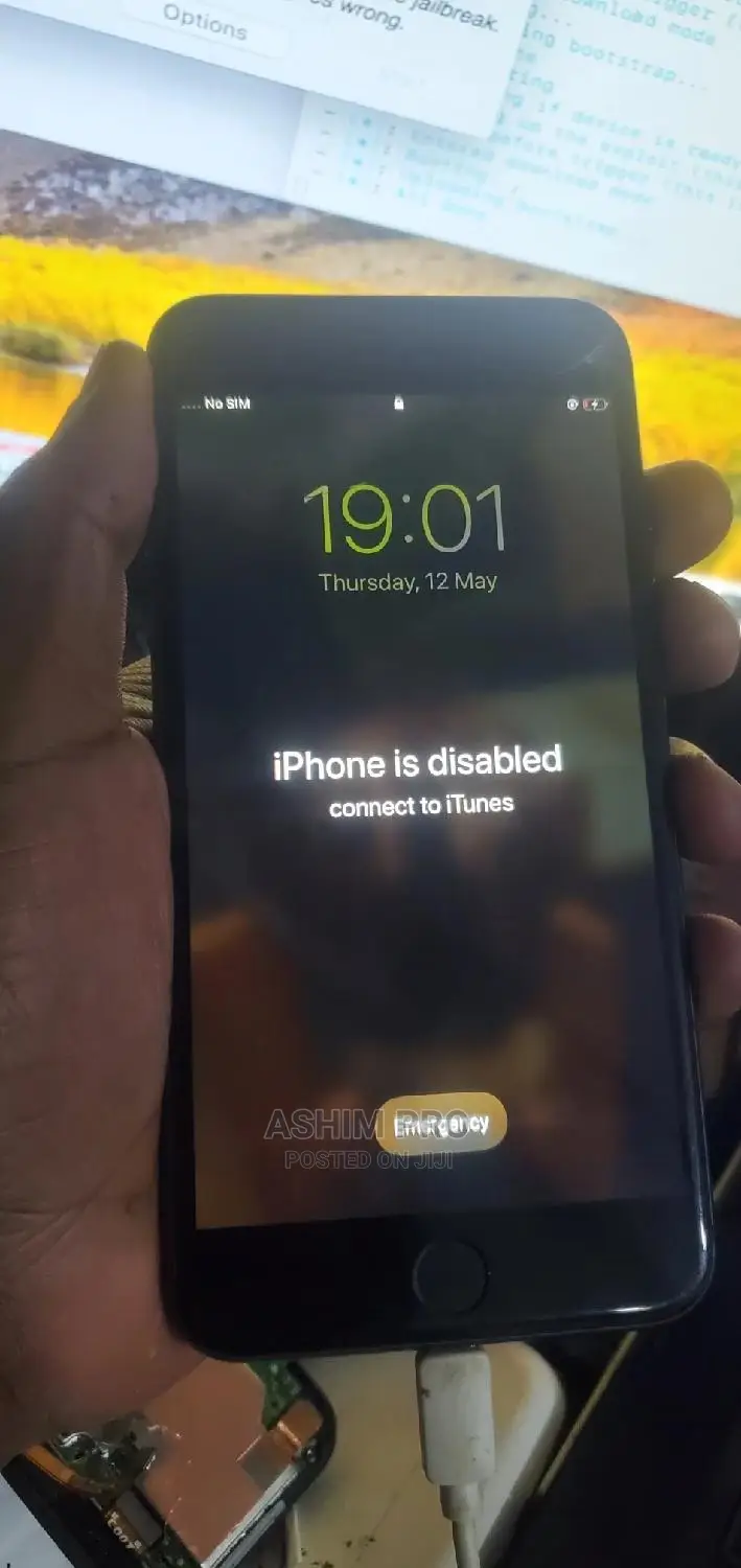 iPhone Disabled Unlocking