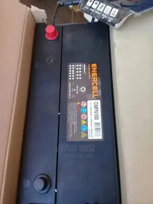 N100 Enercell Maintenance Free Batteries.