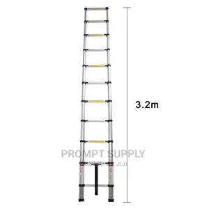 Aluminum Telescopic Extension Ladder 11 Steps -Silver.