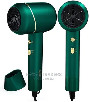 Ionic Hair Dryer, 1500W Blow Dryer With 1 Concentrator
