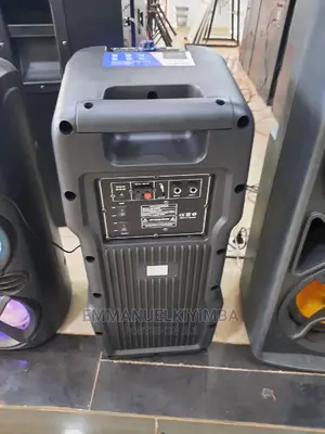 Ailipu 8inch Rechargeable Speaker