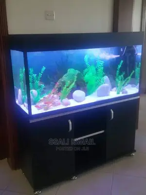 Best and Well Decorated