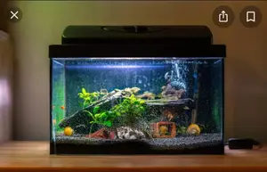 Simple and Really Nice
