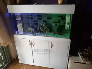 White Color Best Aquarium