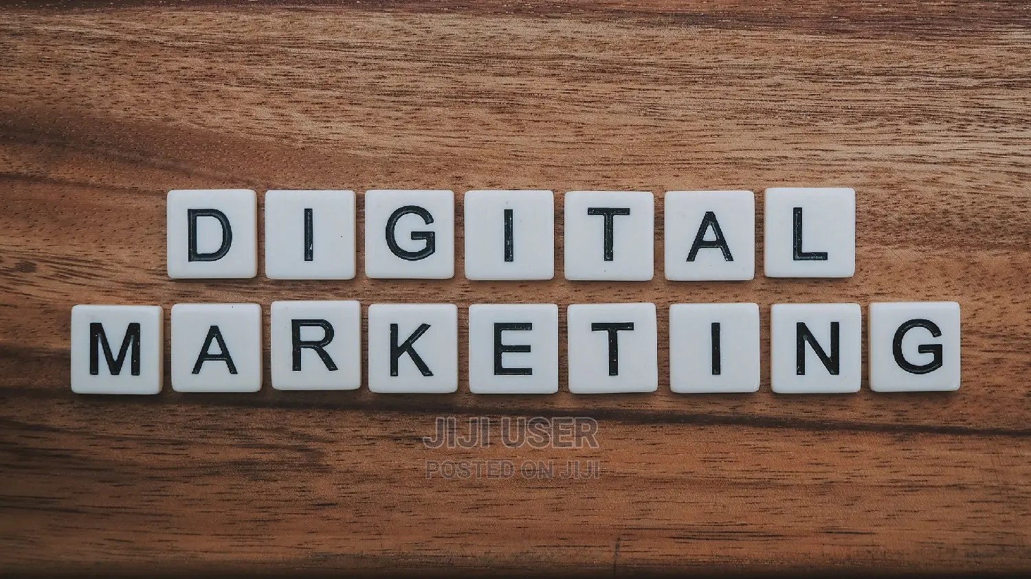 We Build Websites / Digital Marketing