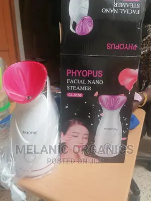 Face Facial Steamer