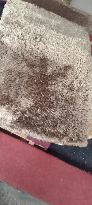 Shaggy Doormats