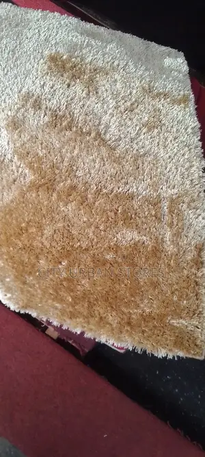 Shaggy Door Mats
