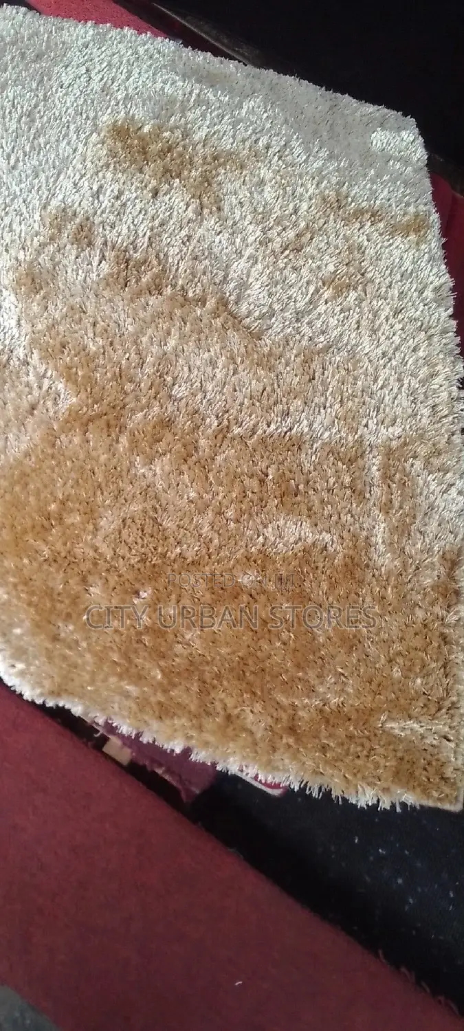 Shaggy Door Mats