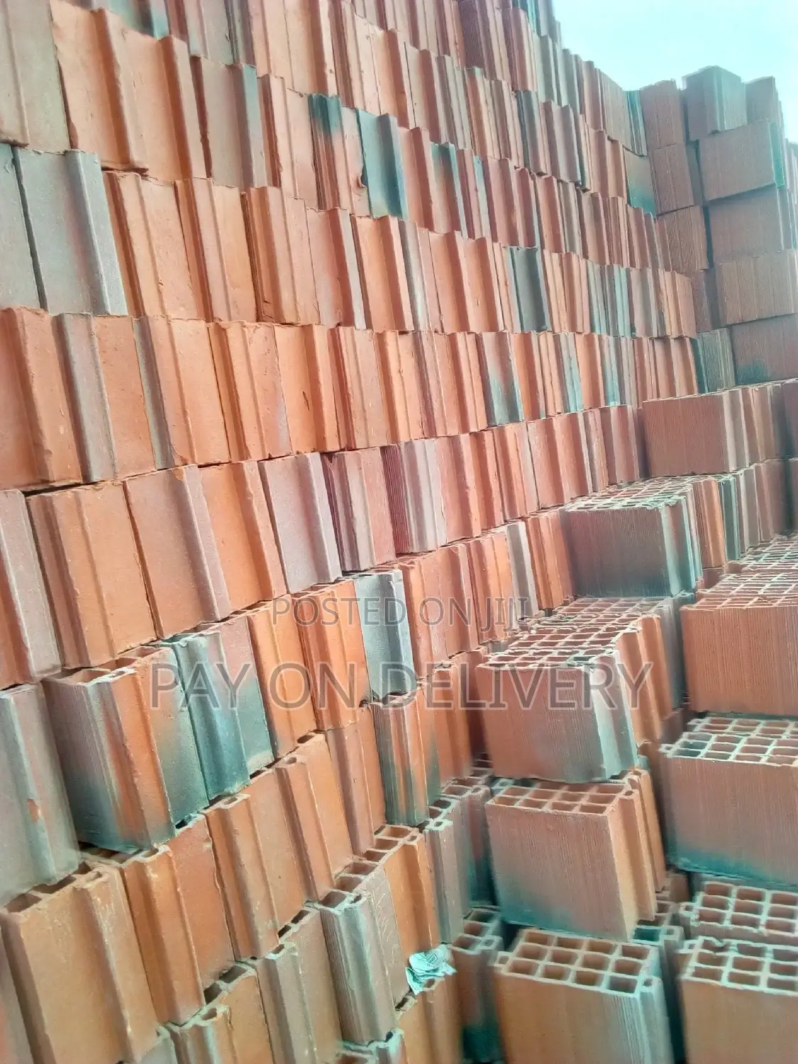 Made of Clay(Max Pans)
