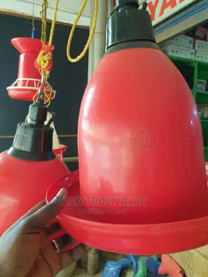 Automatic Chicken Drinkers