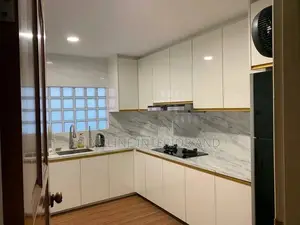 Modern Kitchen Cabinets