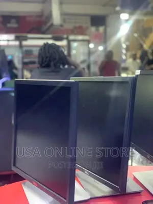 Dell 19 Monitor