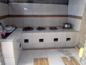 Modern Domestic Cooking Stoves