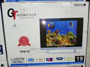 19 Inch Tv Digital Golden Tech