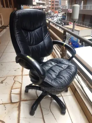 Executive Office Chair
