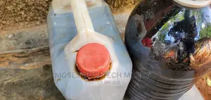 Rabbit Urine